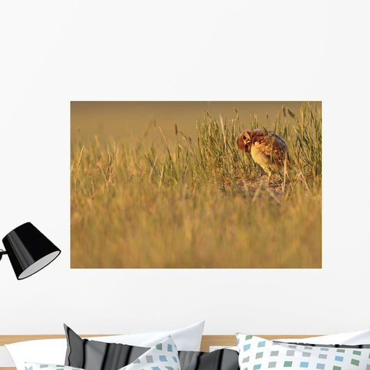 Digitally Enhanced Image With Painterly Effect Of Burrowing Owl Chick Wall Mural