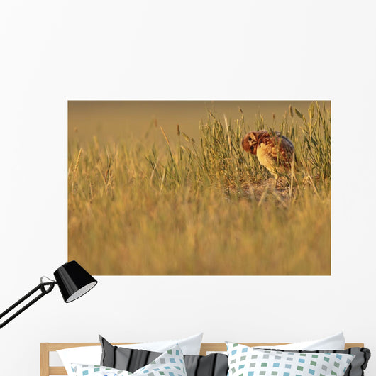 Digitally Enhanced Image With Painterly Effect Of Burrowing Owl Chick Wall Mural