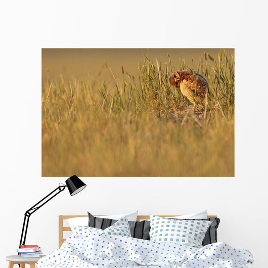 Digitally Enhanced Image With Painterly Effect Of Burrowing Owl Chick Wall Mural