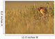 Digitally Enhanced Image With Painterly Effect Of Burrowing Owl Chick Wall Mural