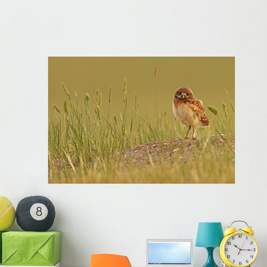 Digitally Enhanced Image With Painterly Effect Of Burrowing Owl Chick Wall Mural