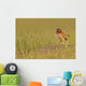 Digitally Enhanced Image With Painterly Effect Of Burrowing Owl Chick Wall Mural