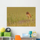 Digitally Enhanced Image With Painterly Effect Of Burrowing Owl Chick Wall Mural