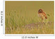 Digitally Enhanced Image With Painterly Effect Of Burrowing Owl Chick Wall Mural