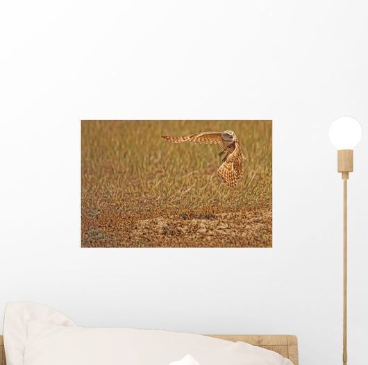 Painterly Effect Of Burrowing Owl Taking Flight Wall Mural