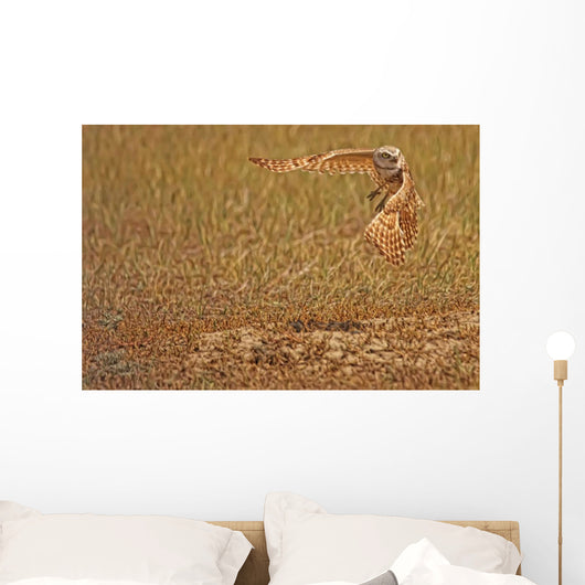 Painterly Effect Of Burrowing Owl Taking Flight Wall Mural