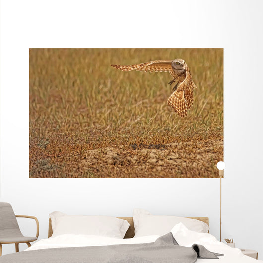 Painterly Effect Of Burrowing Owl Taking Flight Wall Mural