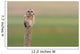 Short-Eared Owl, Saskatchewan Wall Mural