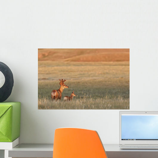 Painterly Effect Of Male White-Tailed Deer With Young Fawn Wall Mural