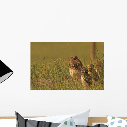 Painterly Effect Of Burrowing Owl Chicks And Adult Wall Mural