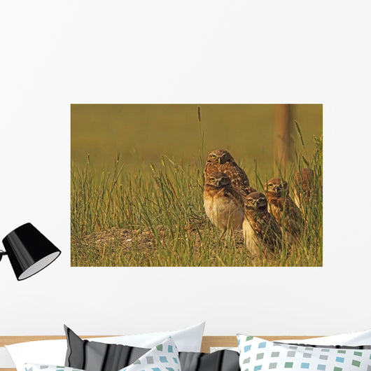 Painterly Effect Of Burrowing Owl Chicks And Adult Wall Mural