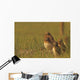 Painterly Effect Of Burrowing Owl Chicks And Adult Wall Mural