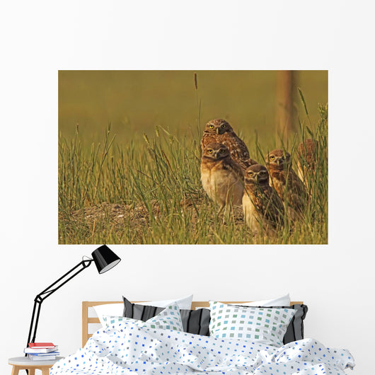 Painterly Effect Of Burrowing Owl Chicks And Adult Wall Mural