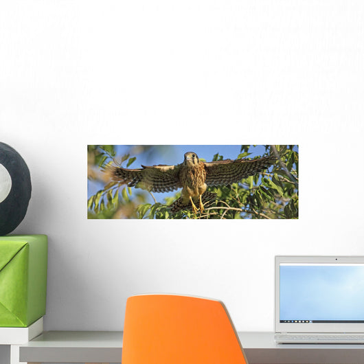 Digitally Enhanced Image Wall Mural