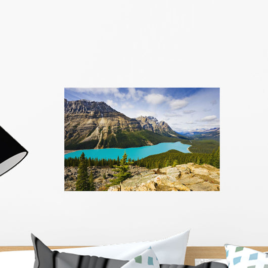 Peyto Lake, Banff National Park, Alberta Wall Mural