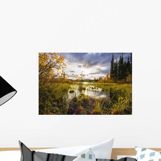 Yukon River And Fall Colours At Sunset, Yukon Wall Mural