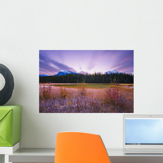 Alberta Wall Mural