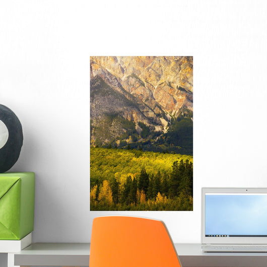 Pyramid Mountain And Fall Colours, Jasper National Park, Alberta Wall Mural