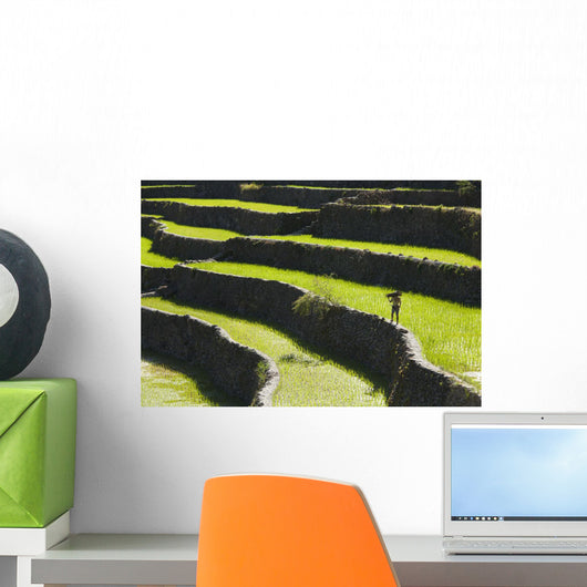 A Farmer Walks Along The Famous Rice Terraces Wall Mural