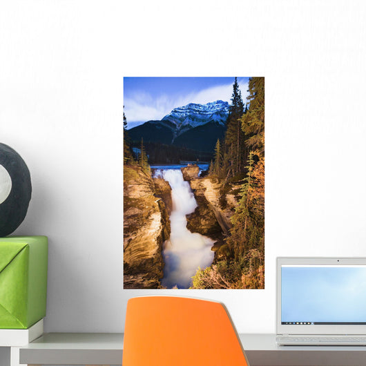Artist's Choice Wall Mural