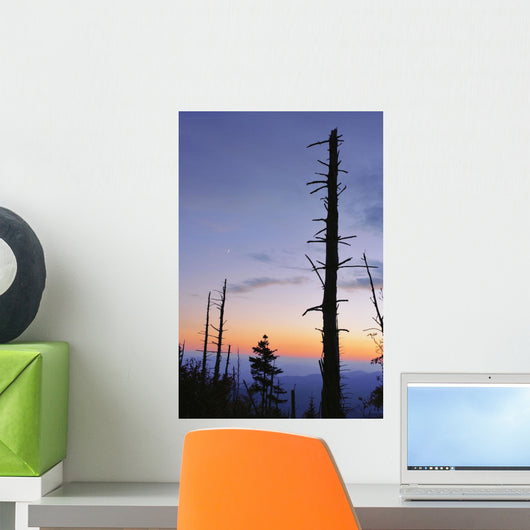 Dead Trees And Moon At Dusk From Clingmans Dome Wall Mural
