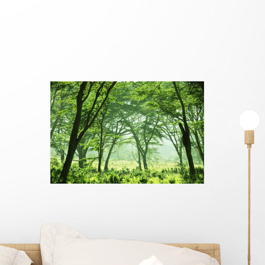 Jungle Wall Mural
