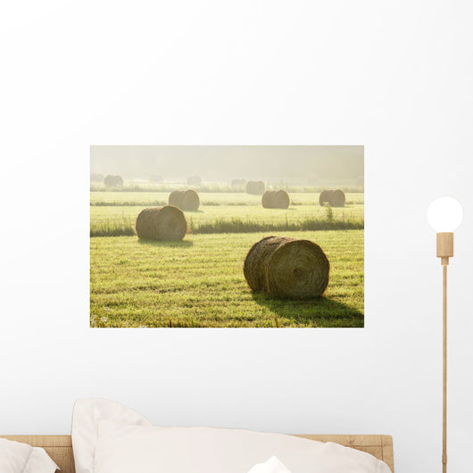 Artist's Choice Wall Mural