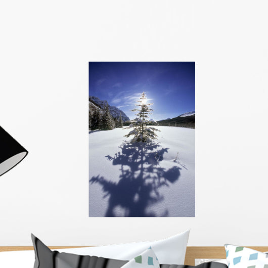 Rampart Ponds In Winter, Banff National Park, Alberta, Canada Wall Mural