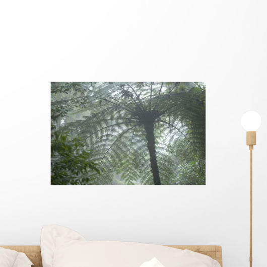Cloud Forest Ceiling, Costa Rica Wall Mural