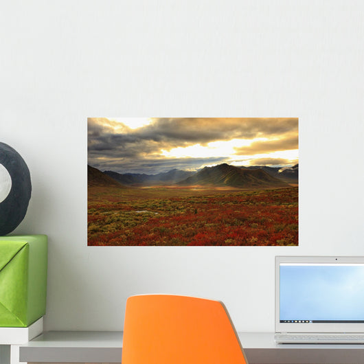 Shaft Of Sunlight Hitting The Fall Colours Of The Dempster Highway Wall Mural