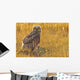 Immature Great Horned Owl Backlit In A Grass Field, Saskatchewan Wall Mural