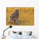 Immature Great Horned Owl Backlit In A Grass Field, Saskatchewan Wall Mural