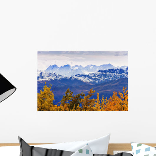 Artist's Choice Wall Mural
