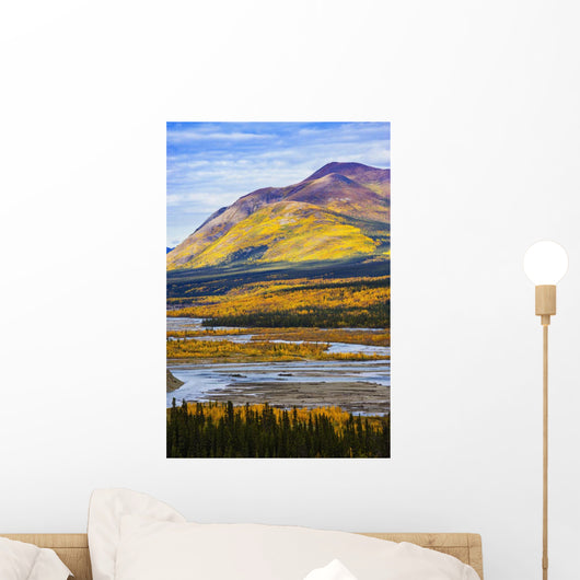 Artist's Choice Wall Mural