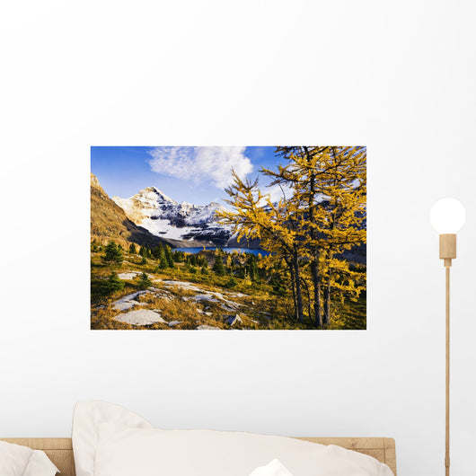 Artist's Choice Wall Mural