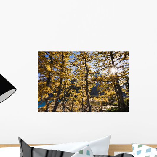 Artist's Choice Wall Mural