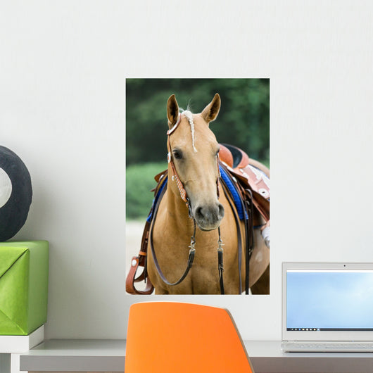 Western Horse