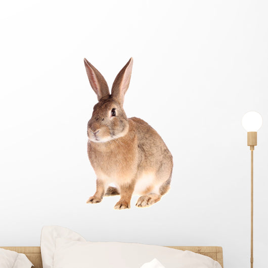 Rabbit Wall Decal