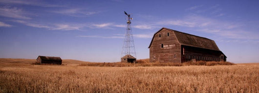 Abandoned Barn, Outside Saskatoon, Saskatchewan Wall Mural