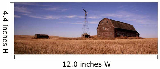 Abandoned Barn, Outside Saskatoon, Saskatchewan Wall Mural