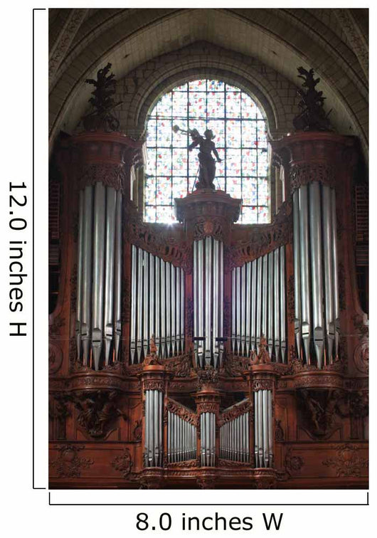 Pipe Organ