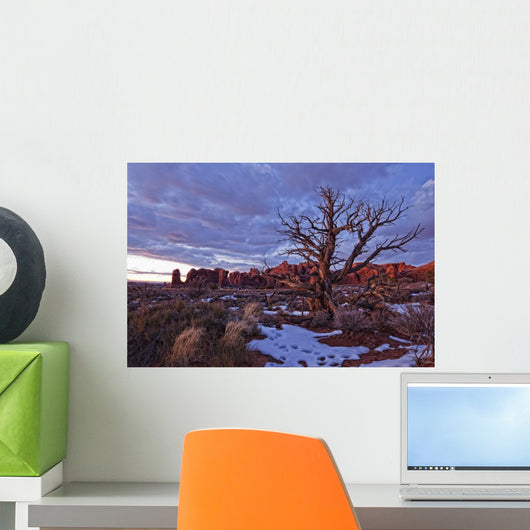 Timed Exposure Of Sunset Clouds Over Tree And Cove Of Caves Wall Mural