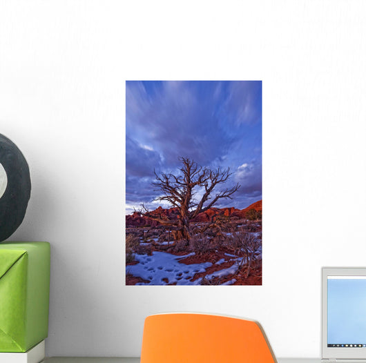 Timed Exposure Of Sunset Clouds Over Tree And Cove Of Caves Wall Mural