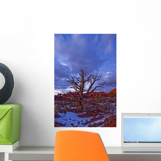 Timed Exposure Of Sunset Clouds Over Tree And Cove Of Caves Wall Mural
