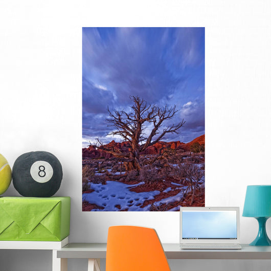 Timed Exposure Of Sunset Clouds Over Tree And Cove Of Caves Wall Mural