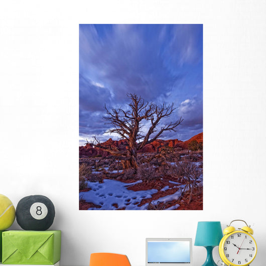 Timed Exposure Of Sunset Clouds Over Tree And Cove Of Caves Wall Mural