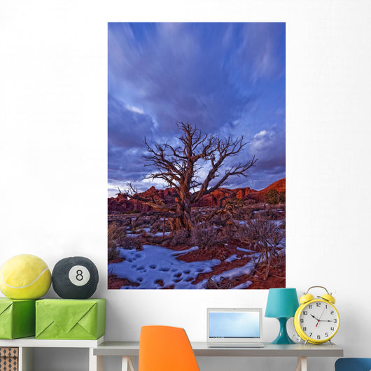Timed Exposure Of Sunset Clouds Over Tree And Cove Of Caves Wall Mural