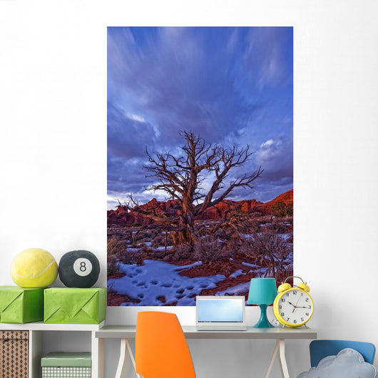 Timed Exposure Of Sunset Clouds Over Tree And Cove Of Caves Wall Mural
