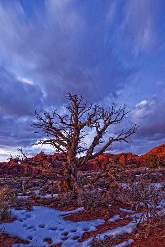 Timed Exposure Of Sunset Clouds Over Tree And Cove Of Caves Wall Mural