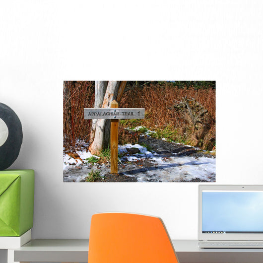 appalachian trail in Great Smoky Mountains, USA Wall Mural